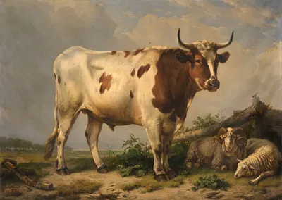 Bull by Южен Жозеф Вербокховен, 1847 — digital art print download