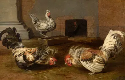 Fighting Cocks by Франс Снайдерс — digital art print download