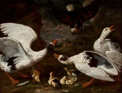 Hawk and geese by Jan Baptist Bouttats — digital art print download
