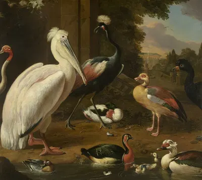 Waterfowl, Melchior de Hondecoeter by Мельхиор д'Ондекайтер — digital art print download