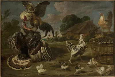 A turkey and a rooster by Paul de Vos — digital art print download