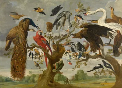 Concert of Birds by Paul de Vos — digital art print download