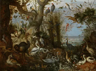 Poultry by Роелант Савери, 1618 — digital art print download