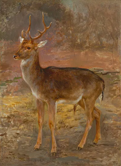Cerf by Роза Бонёр — digital art print download
