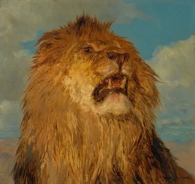 Tête de lion relevée by Роза Бонёр — digital art print download