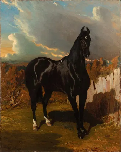 Black Knight by Альфред Де Дрю — digital art print download