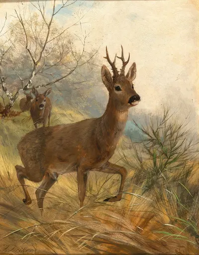 A Buck and a Doe by Карл Фридрих Дейкер — digital art print download
