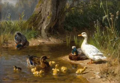 Enten am Wasser by Карл Юц, 1874 — digital art print download