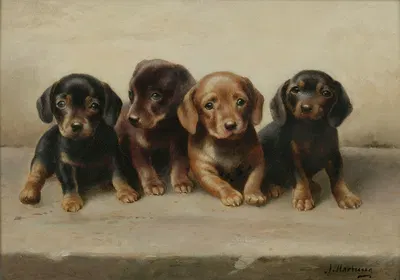 Four Dachshund puppies by Carl Reichert — digital art print download