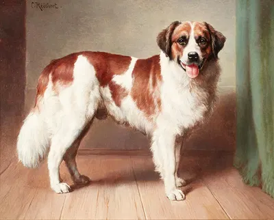 Portrait of a St. Bernard by Carl Reichert — digital art print download