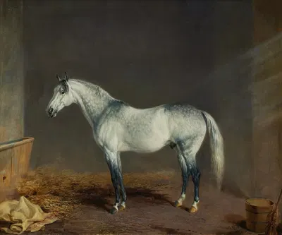 Lightning (A Gray Racehorse) in a Stable by Edward Troye, 1869 — digital art print download