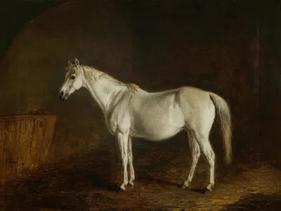 Reel with Gray Racehorse by Edward Troye — digital art print download