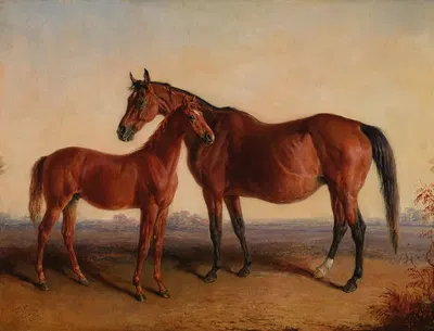 Roxanna and Her Colt Blarney Stone by Rhynodyne by Edward Troye, 1866 — digital art print download