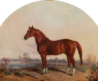 War Dance in a Landscape by Edward Troye, 1869 — digital art print download