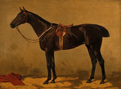 A Bay Horse in a Stable by Эмиль Волькерс — digital art print download