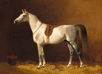 A White Horse in a Stable by Эмиль Волькерс, 1893 — digital art print download