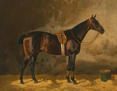 A Bay Horse in a Stable by Эмиль Волькерс, 1894 — digital art print download