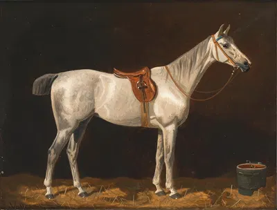 A White Horse in a Stable by Эмиль Волькерс, 1895 — digital art print download
