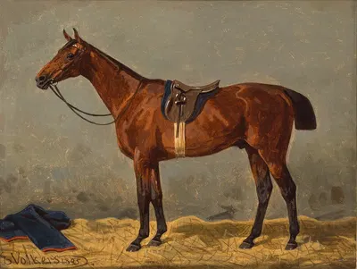 A Saddled Bay Horse in a Stable by Эмиль Волькерс, 1895 — digital art print download
