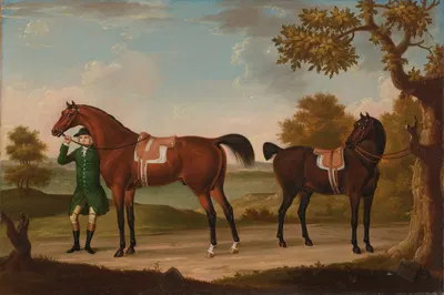 Little Fox and Oroonoco by Francis Stringer, 1763 — digital art print download