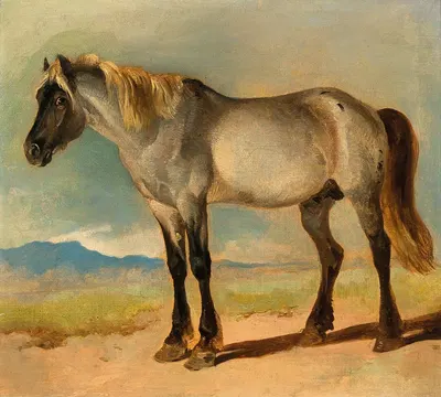 A White Horse with a Black Head by Фридрих Гаурманн — digital art print download