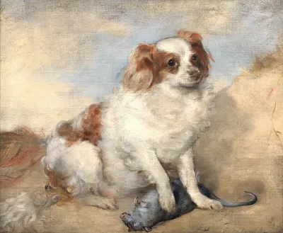 A spaniel with a rat by Джордж Фредерик Уоттс — digital art print download