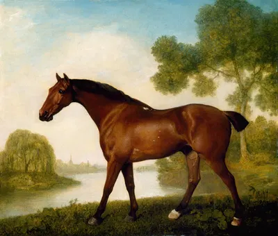 Truss, A Hunter by George Stubbs — digital art print download