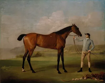 Molly Long-legs with her Jockey by George Stubbs — digital art print download