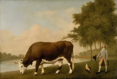 The Lincolnshire Ox by George Stubbs, 1790 — digital art print download