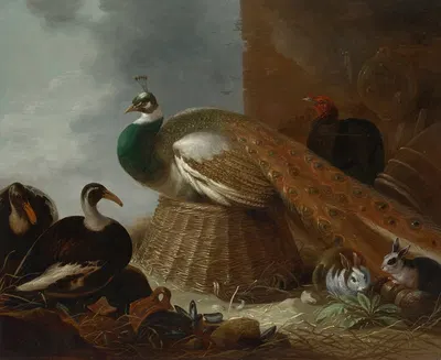 A peacock, a pair of ducks, rabbits and a turkey in a landscape by Гейсберт Гиллис. де Хондекотер, 1641 — digital art print…