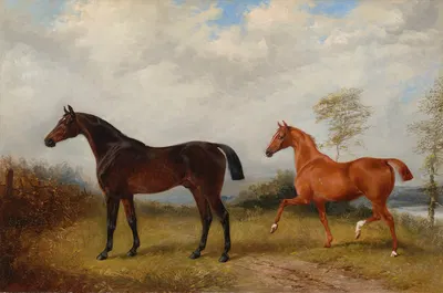 A bay and a chestnut hunter in a wooded landscape by Генри Барро, 1860 — digital art print download