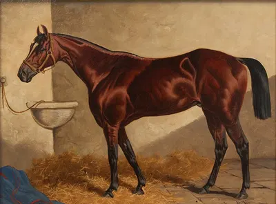 General Monroe in a Stable by Henry Stull, 1889 — digital art print download