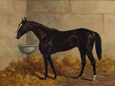 Longfellow (A Dark Bay Racehorse) in a Stable by Henry Stull — digital art print download