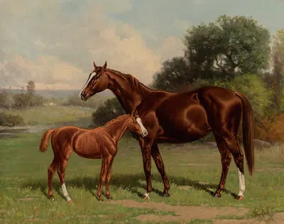 Castalia and Colt by Uncas by Henry Stull, 1894 — digital art print download