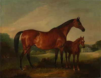 Beeswing & Foal with Old Fort Beyond by Джон Фернли — digital art print download
