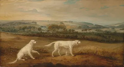Blush and Juno, English Setters in an extensive landscape by Джон Фернли, 1824 — digital art print download
