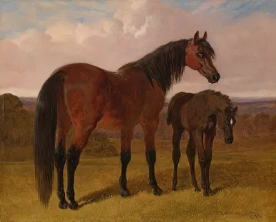 A mare and foal in a landscape by Джон Фредерик Херринг-старший, 1853 — digital art print download