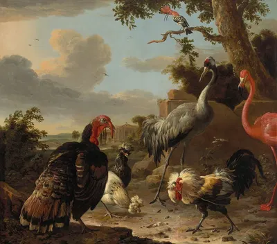 A sarus crane, a flamingo, a wild bronze turkey cock, two Paduan fowl, a silver birchen game cockerel, and a hoopoe in a…