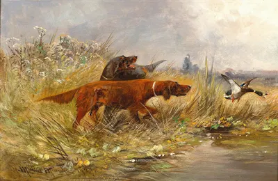 A Duck Hunt by Мориц Мюллер, 1909 — digital art print download