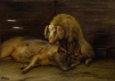 Two Pigs in a Sty by Паулус Поттер, 1649 — digital art print download