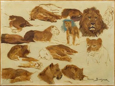 A sketch of lions and lionesses by Роза Бонёр — digital art print download