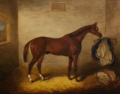Suds in a Stable by Samuel Spode — digital art print download