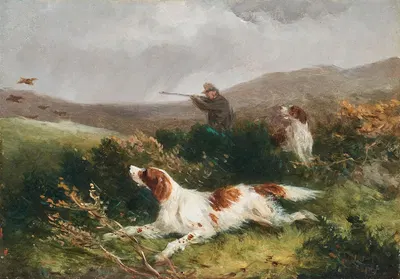 Shooting snipe by William Shayer — digital art print download