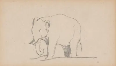 An Elephant, facing left by Даниэль Макиллис — digital art print download