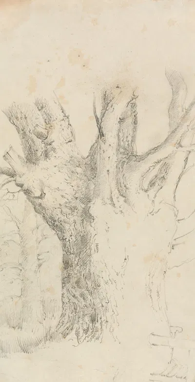 Tree by Дэвид Чарльз Рид — digital art print download