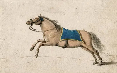 Springend paard by Баренд Хендрик Тир — digital art print download