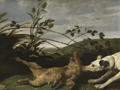 Dog attacking wild boar piglet by Даниэль Шульц, 1620 — digital art print download