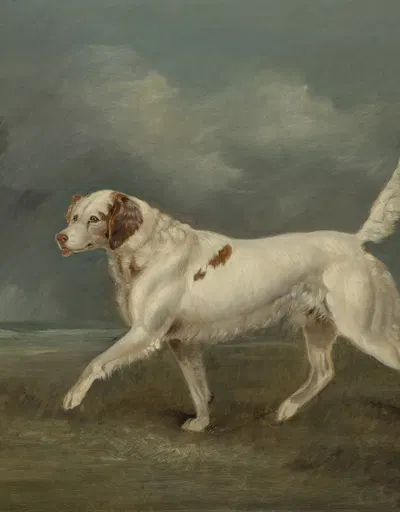 A Spaniel in a Landscape by Эдвин Купер — digital art print download