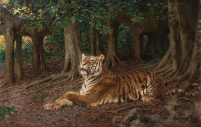 Reclining tiger by Геза Вастаг — digital art print download