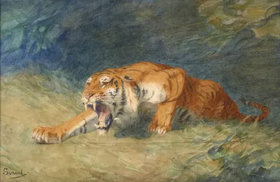 Tigre rugissant by Gustave Surand — digital art print download